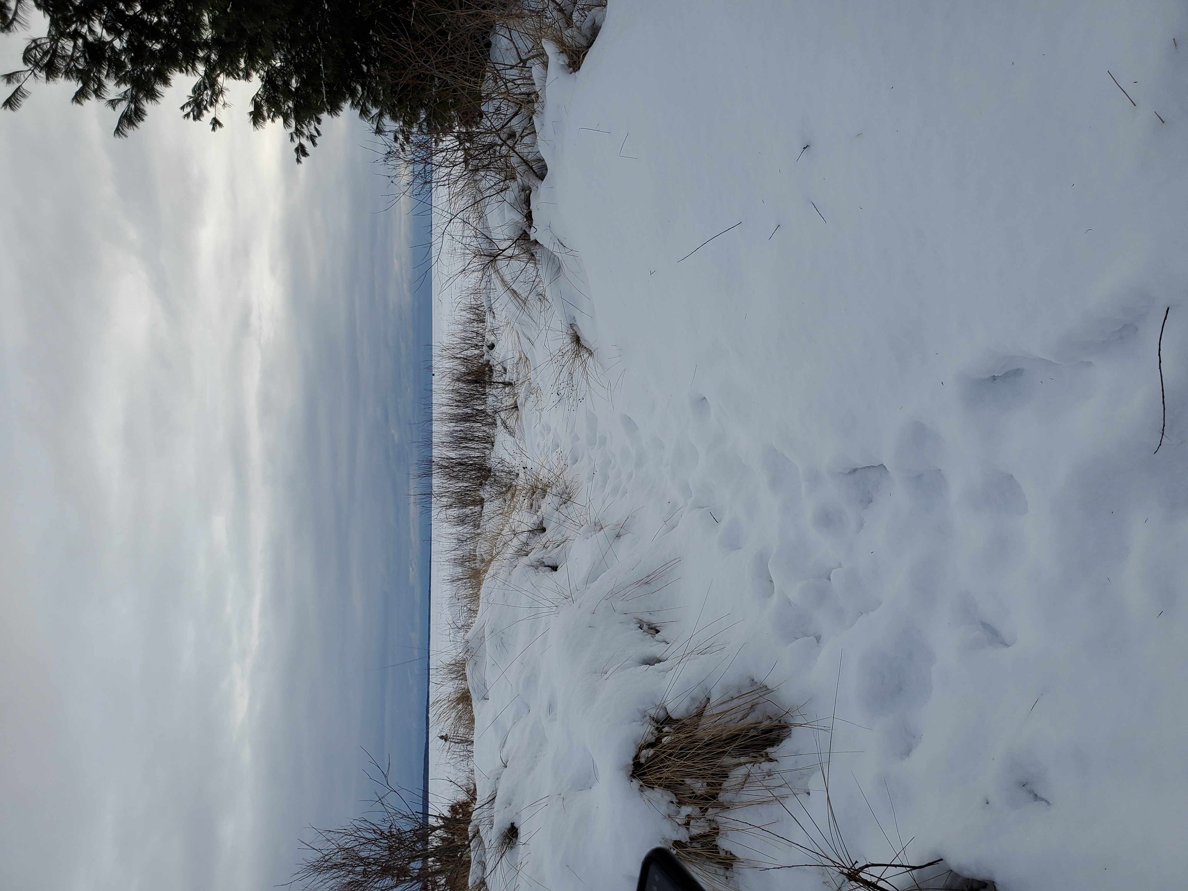 a snowy path in Michigan